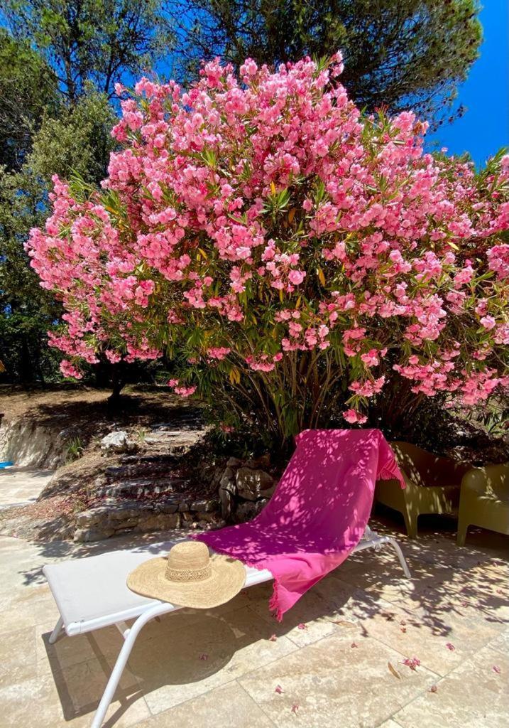 La Bastide Blanche Magnifique Villa 5 Etoiles 5 Chambres Et Piscine Privee Sur 6500 M Var Lorgues Buitenkant foto