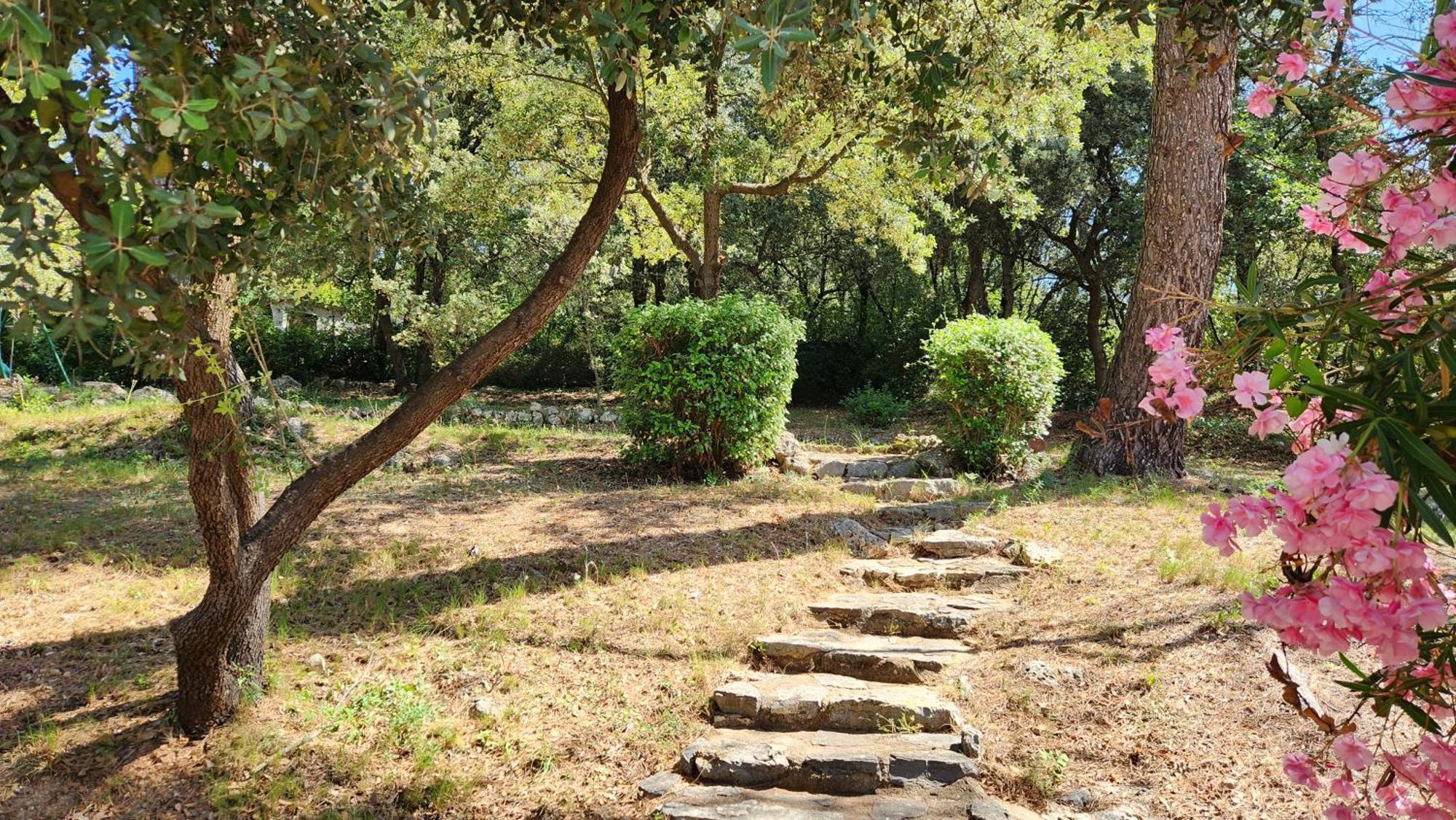 La Bastide Blanche Magnifique Villa 5 Etoiles 5 Chambres Et Piscine Privee Sur 6500 M Var Lorgues Buitenkant foto